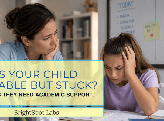 Parent sitting with a frustrated child at a homework desk, representing signs a child needs academic support